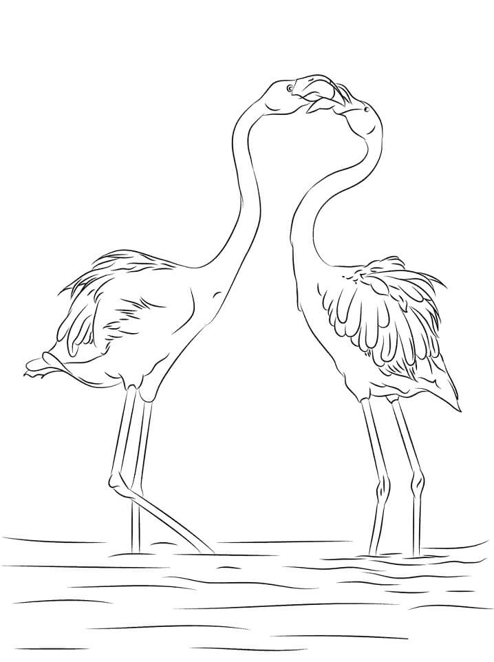 Desenho de Dois Flamingos 5 para colorir