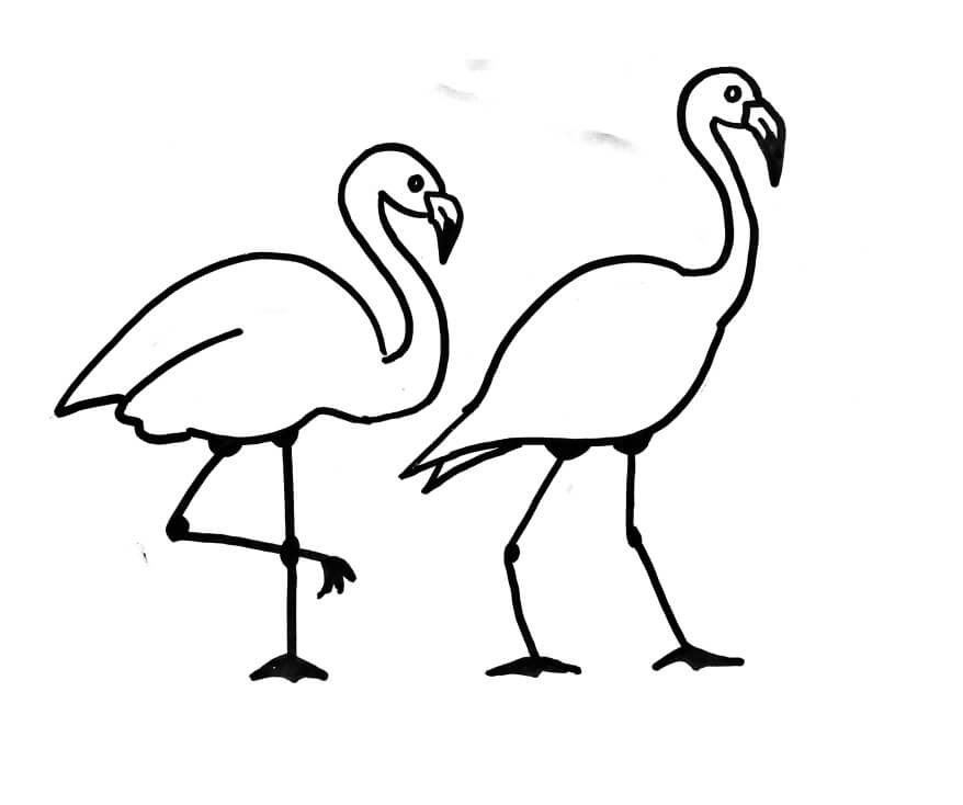 Desenho deDois Flamingos 6 para colorir