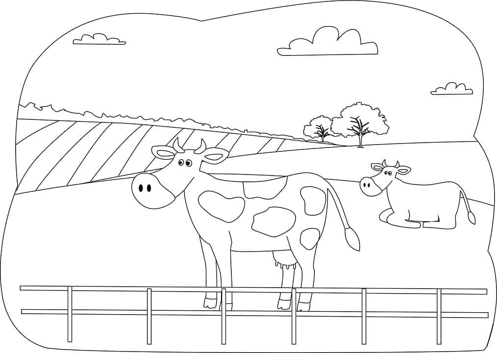 Desenho de Duas Vacas para colorir