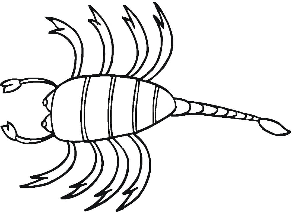 Desenho deEscorpião 9 para colorir