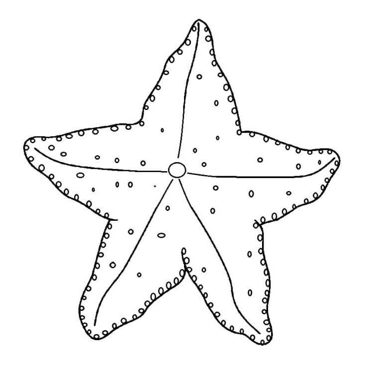 Desenho de Estrela do Mar Normal para colorir