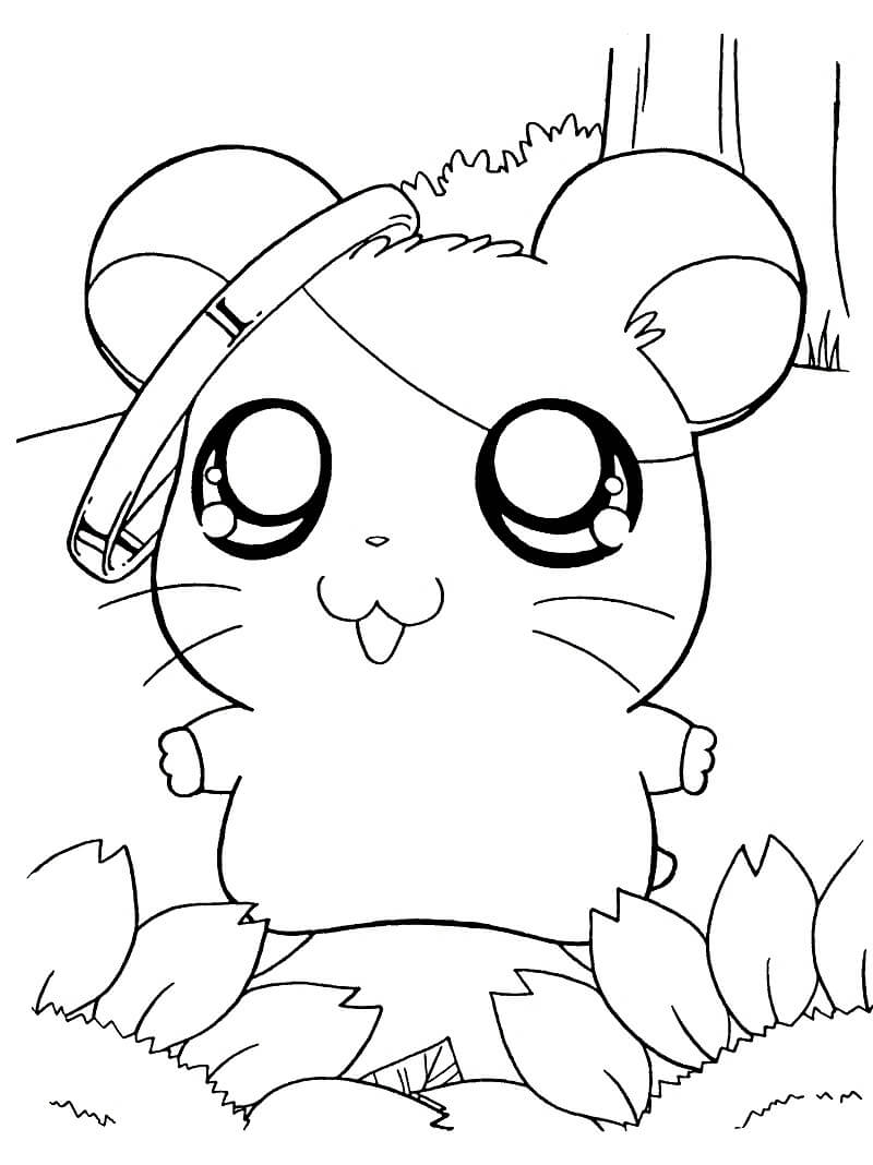 Desenho de Feliz Hamtaro 4 para colorir