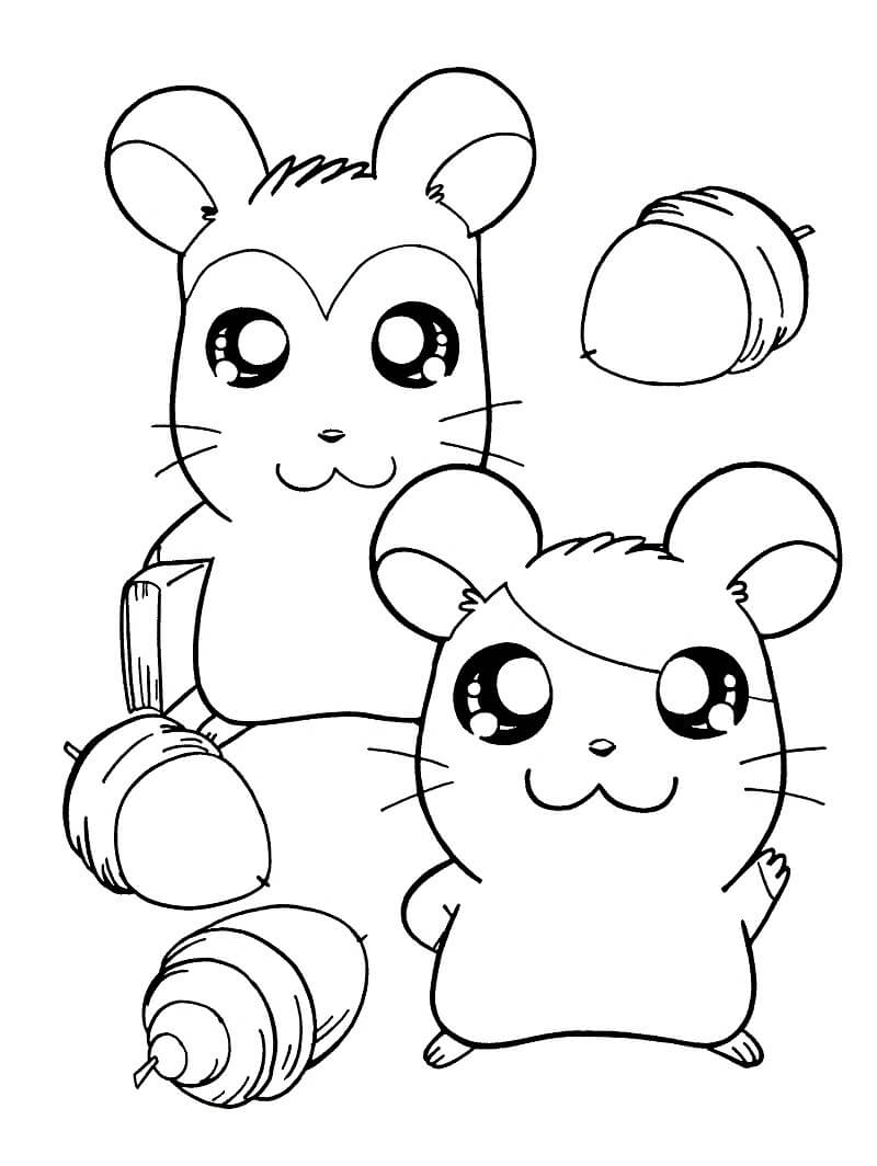 Desenho deFeliz Hamtaro para colorir