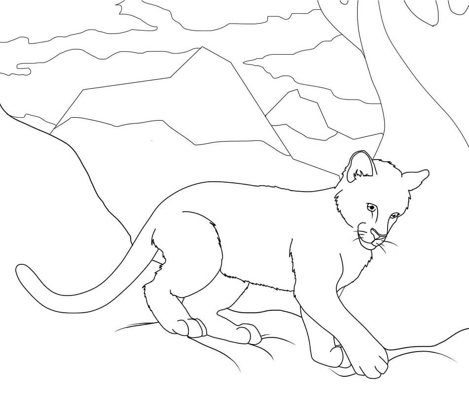 Desenho deFilhote de Puma para colorir