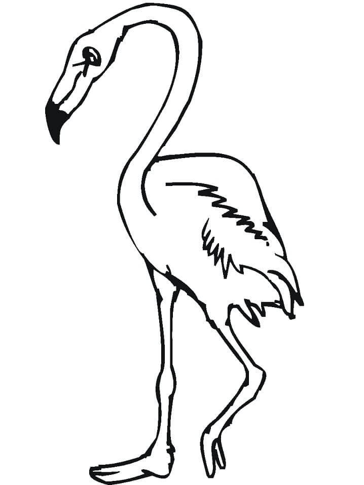 Desenho de Flamingo Normal 1 para colorir