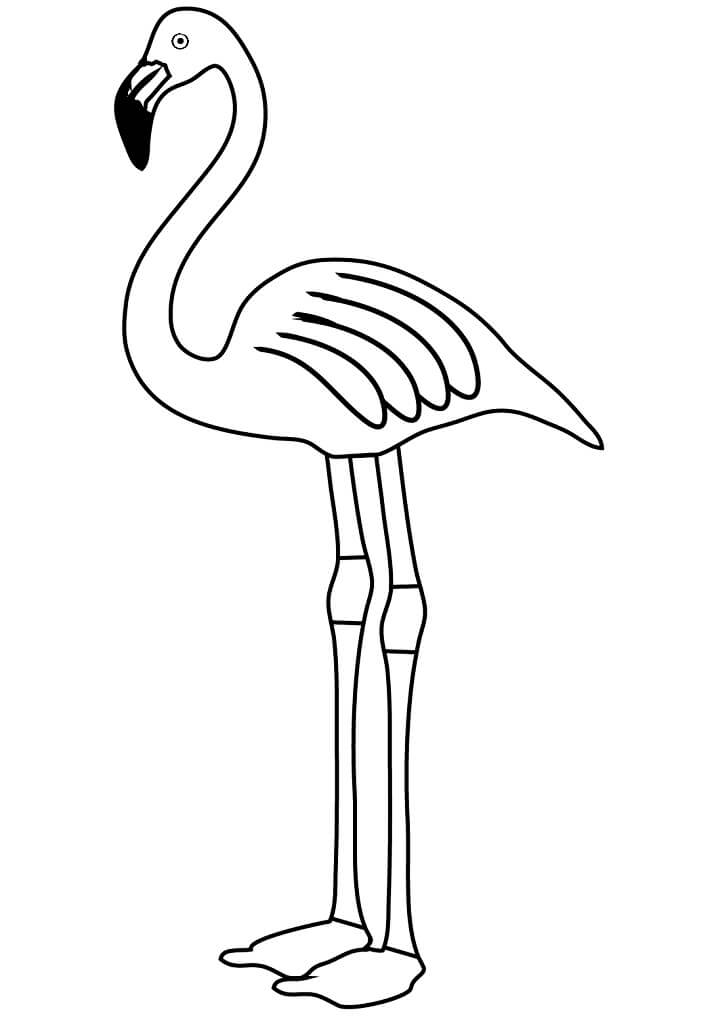 Desenho de Flamingo Normal 2 para colorir