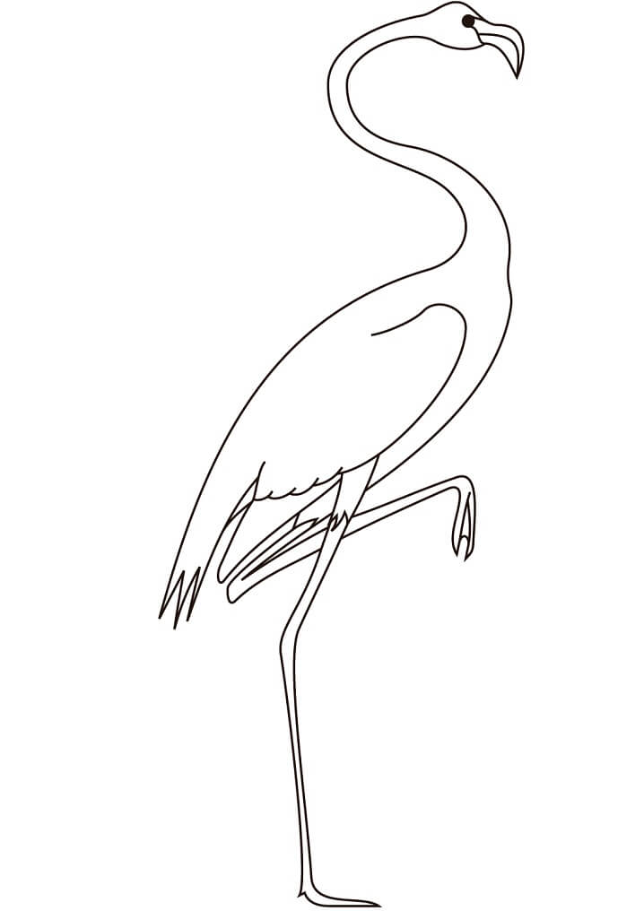 Desenho de Flamingo Normal 3 para colorir