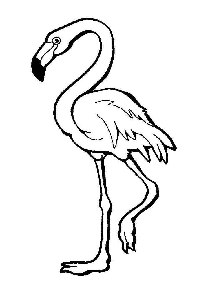 Desenho de Flamingo Normal 5 para colorir