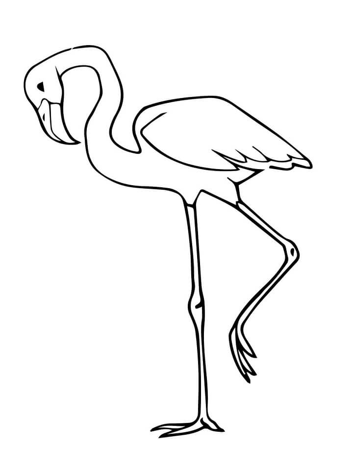 Desenho deFlamingo Normal para colorir