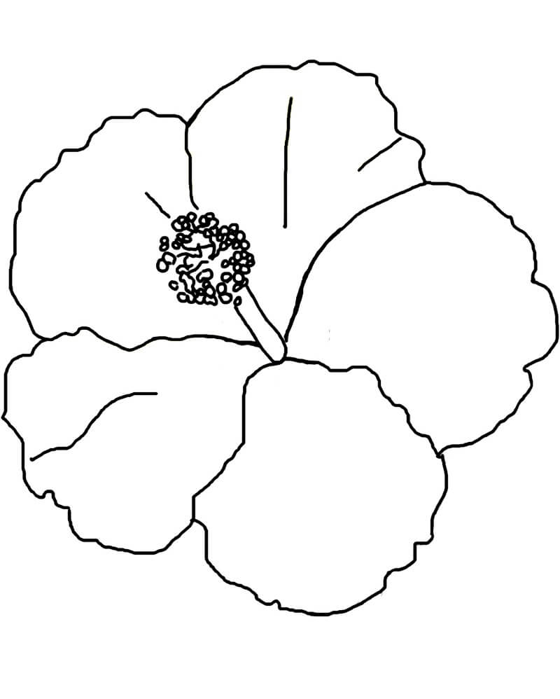 Desenho deFlor de Hibisco 10 para colorir