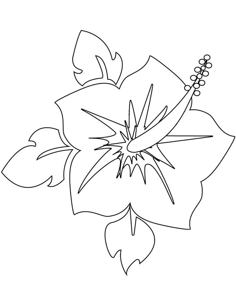 Desenho deFlor de Hibisco 7 para colorir