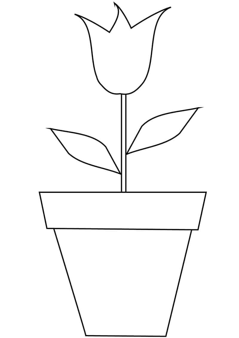 Desenho deFlor de Tulipa 1 para colorir