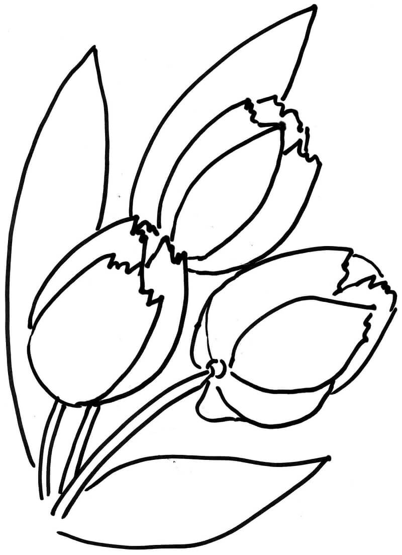 Desenho deFlor de Tulipas 10 para colorir