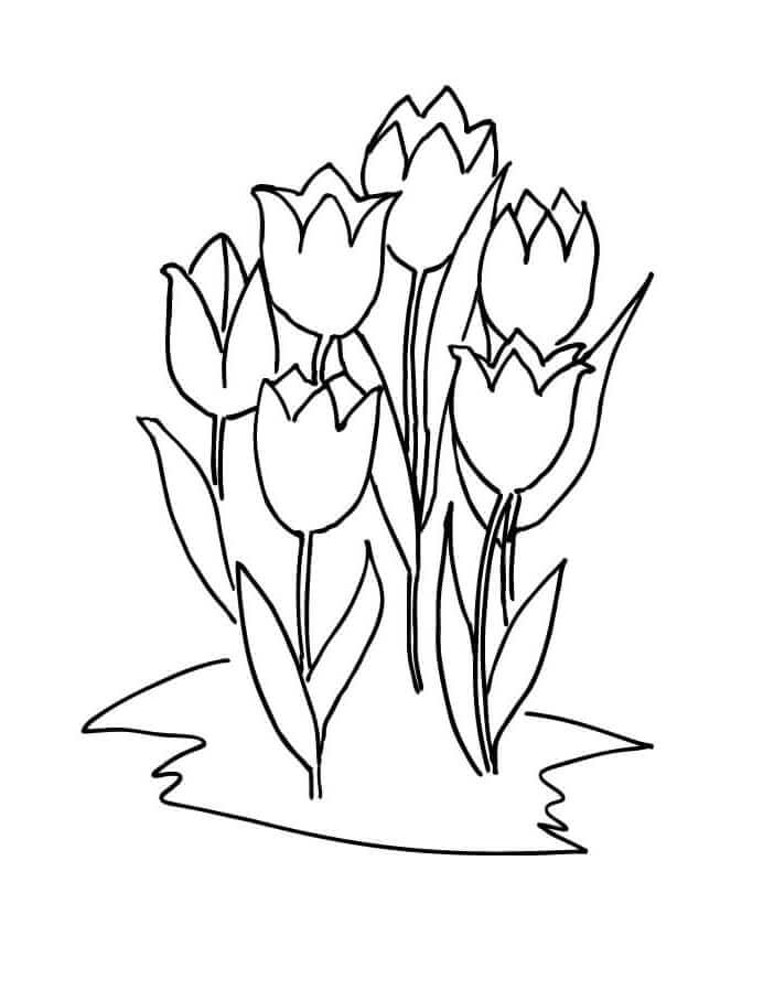 Desenho deFlor de Tulipas 11 para colorir