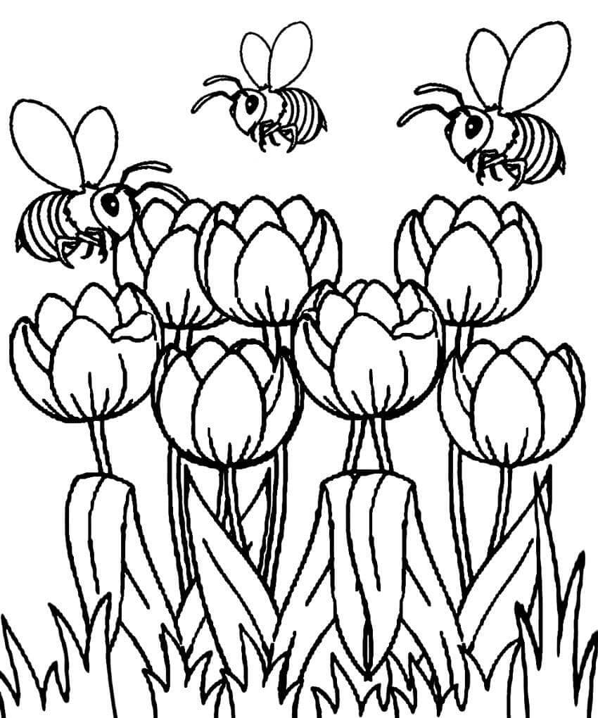 Desenho deFlor de Tulipas 13 para colorir