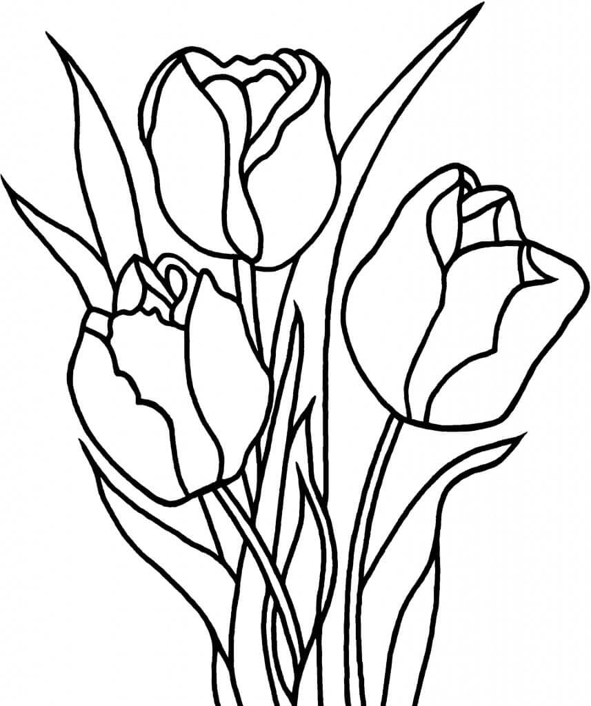 Desenho deFlor de Tulipas 5 para colorir