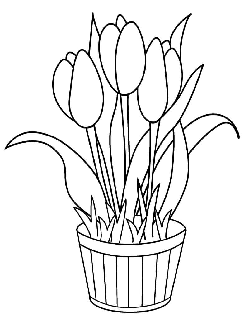 Desenho deFlor de Tulipas 8 para colorir