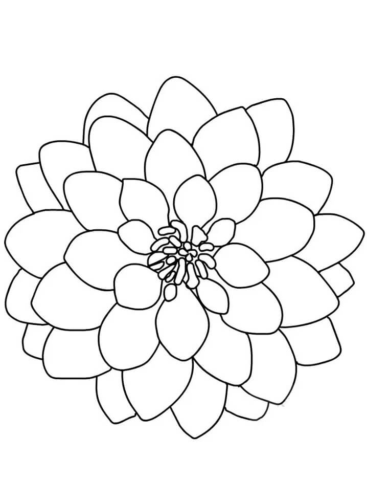 Desenho de Flor Dália 10 para colorir