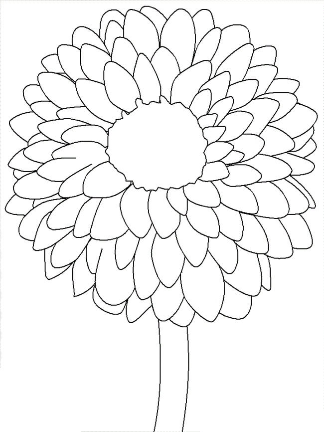 Desenho de Flor Dália 13 para colorir