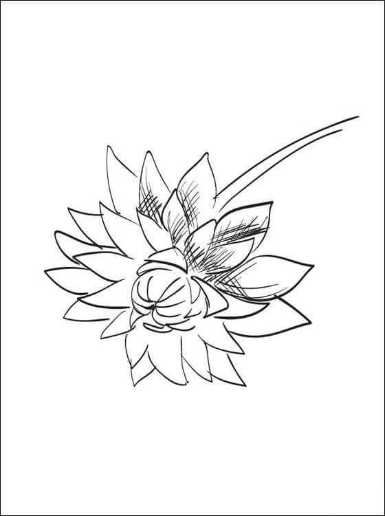 Desenho de Flor Dália 15 para colorir