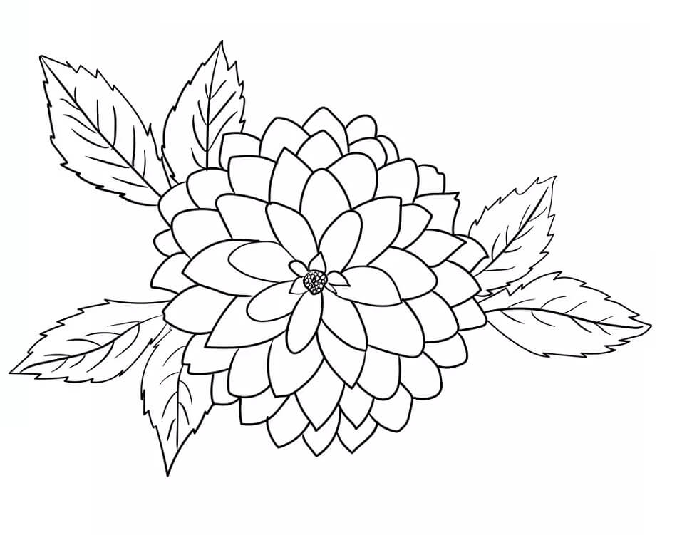 Desenho de Flor Dália 17 para colorir