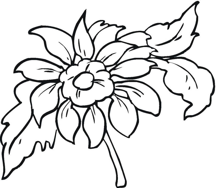 Desenho de Flor Dália 5 para colorir