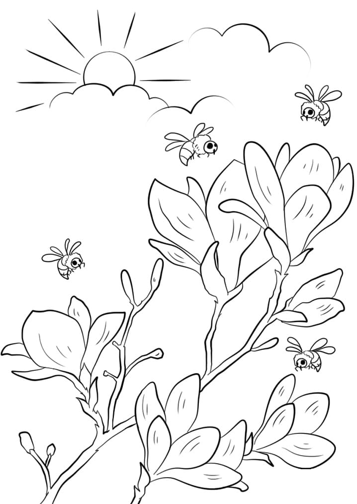 Desenho de Flores da Primavera 1 para colorir