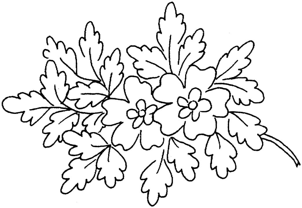 Desenho de Flores da Primavera 2 para colorir