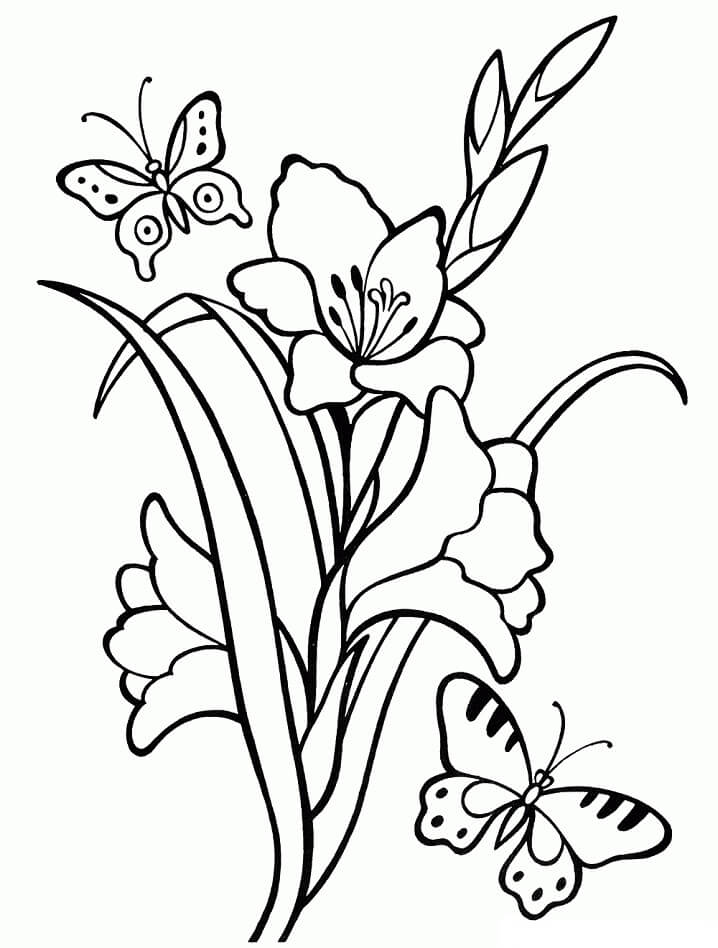 Desenho deFlores de Gladíolo 4 para colorir