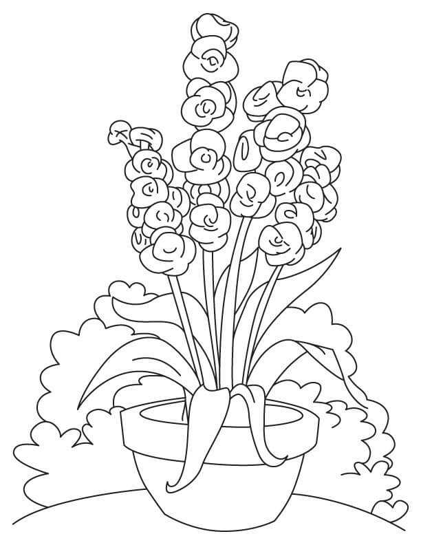 Desenho deFlores de Gladíolo 5 para colorir