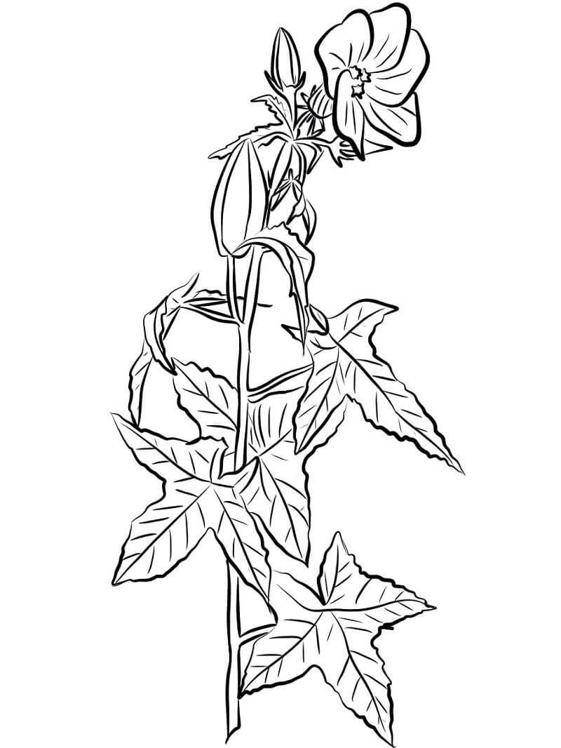 Desenho deFlores de Hibisco 4 para colorir