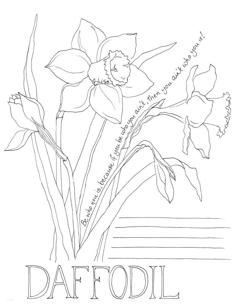 Desenho deFlores de Narciso 3 para colorir