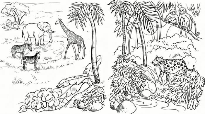 Desenho deFloresta Amazônica 5 para colorir