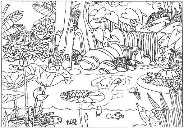 Desenho deFloresta Amazônica 7 para colorir