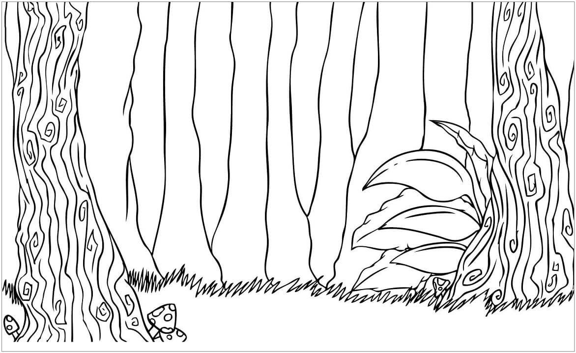 Desenho de Floresta Desenhada para colorir