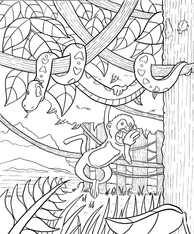 Desenho de Floresta Tropical para colorir