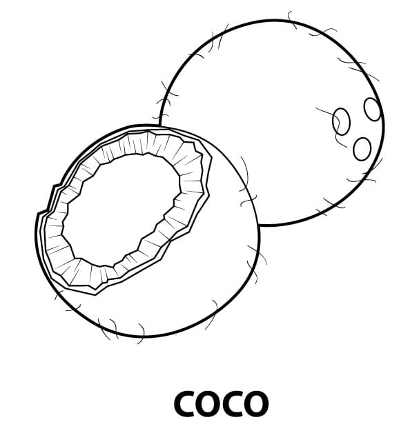 Desenhos de Coco para colorir