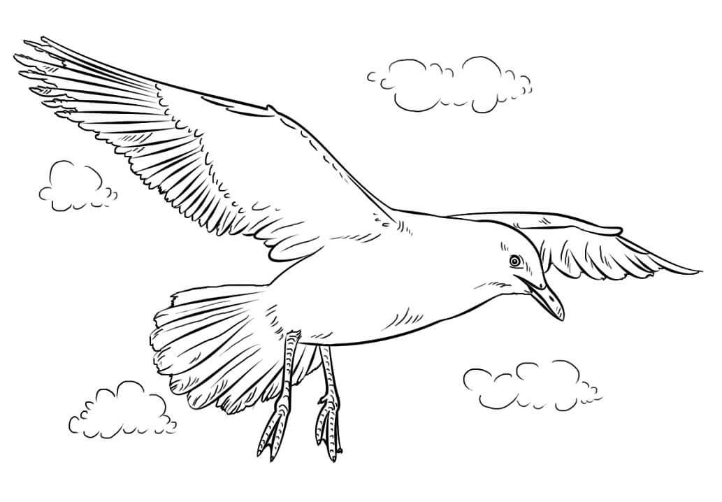 Desenho deGaivota Durante Vôo para colorir