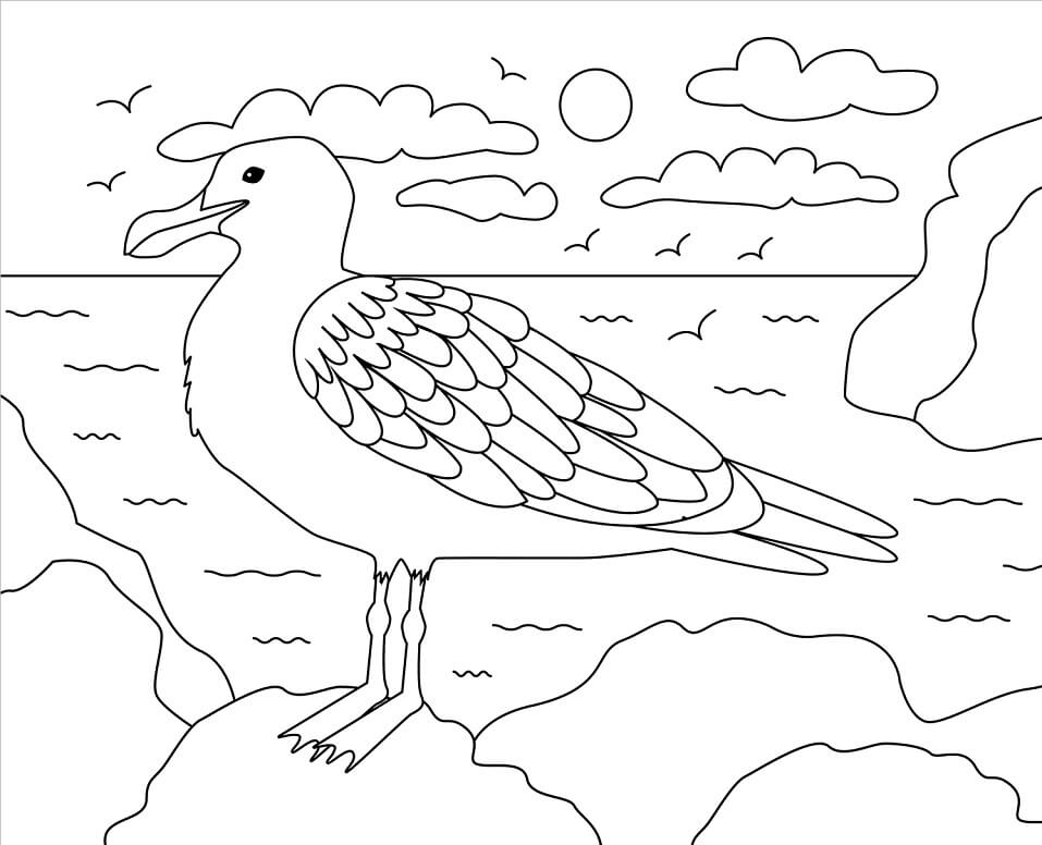 Desenho deGaivota 1 para colorir