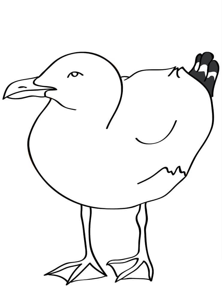 Desenho deGaivota 2 para colorir