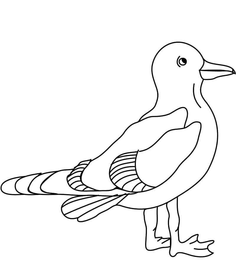 Desenho deGaivota 4 para colorir