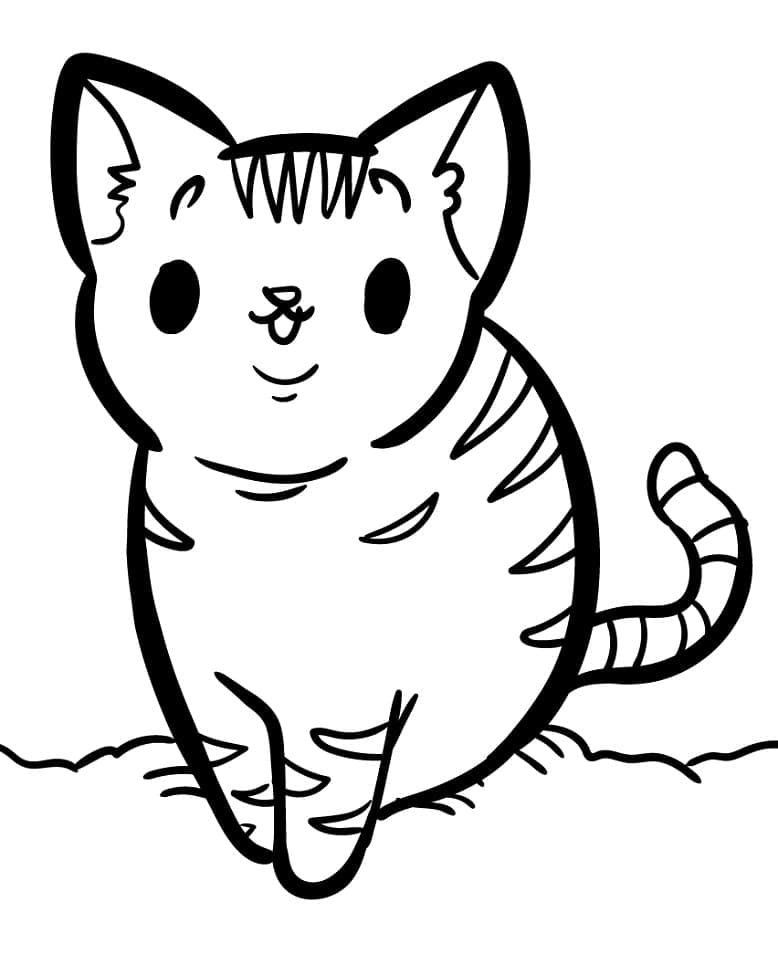 Desenho de Gatinho 5 para colorir