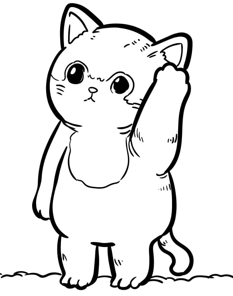 Desenho de Gatinho em Pé para colorir