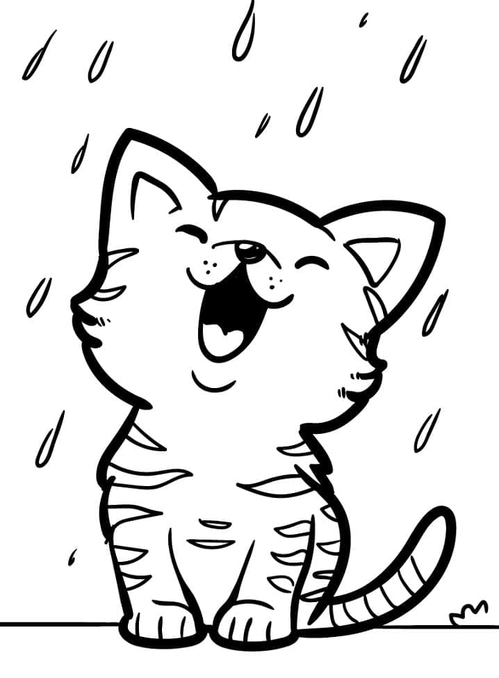 Desenho deGatinho na Chuva para colorir