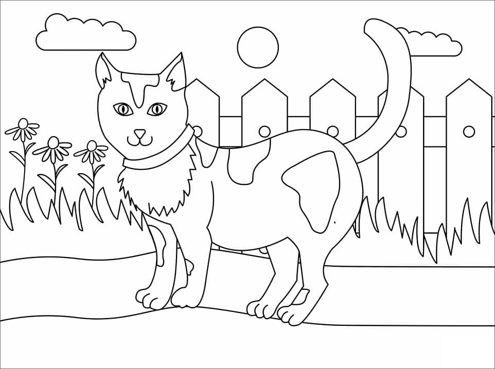 Desenho deGato e Cerca para colorir