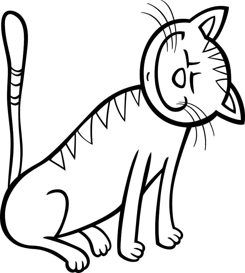 Desenho de Gato Engraçado 1 para colorir