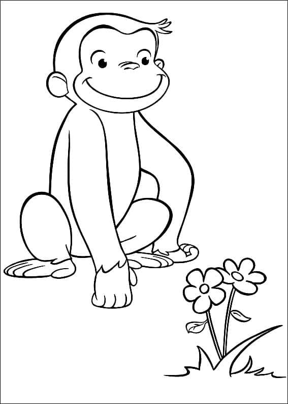 Desenho deGeorge com Flores para colorir