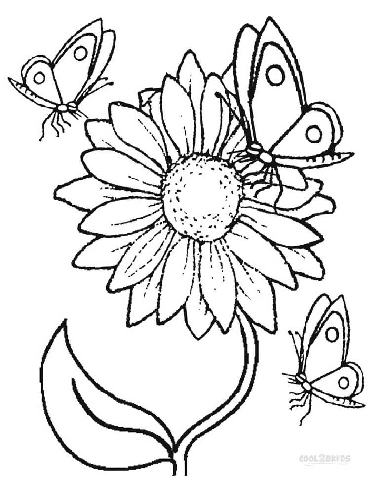 Desenho deGirassol e Borboleta para colorir