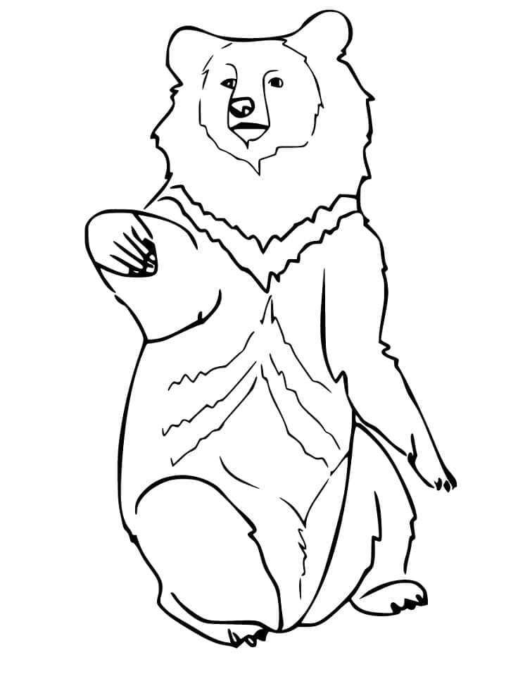 Desenho de Grande Urso Negro para colorir