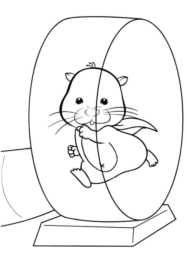 Desenho deHamster Correndo 1 para colorir